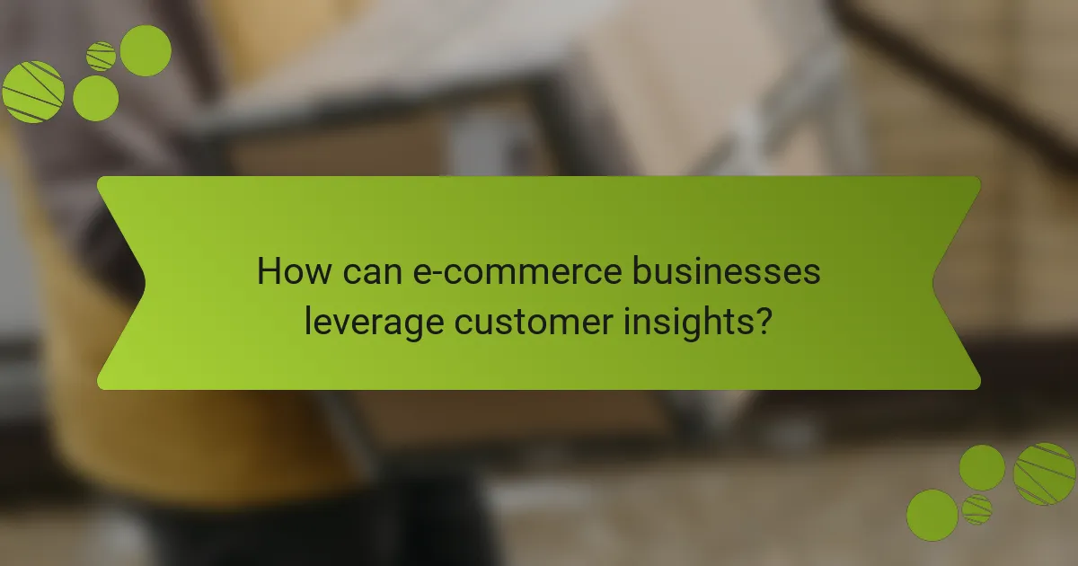 How can e-commerce businesses leverage customer insights?